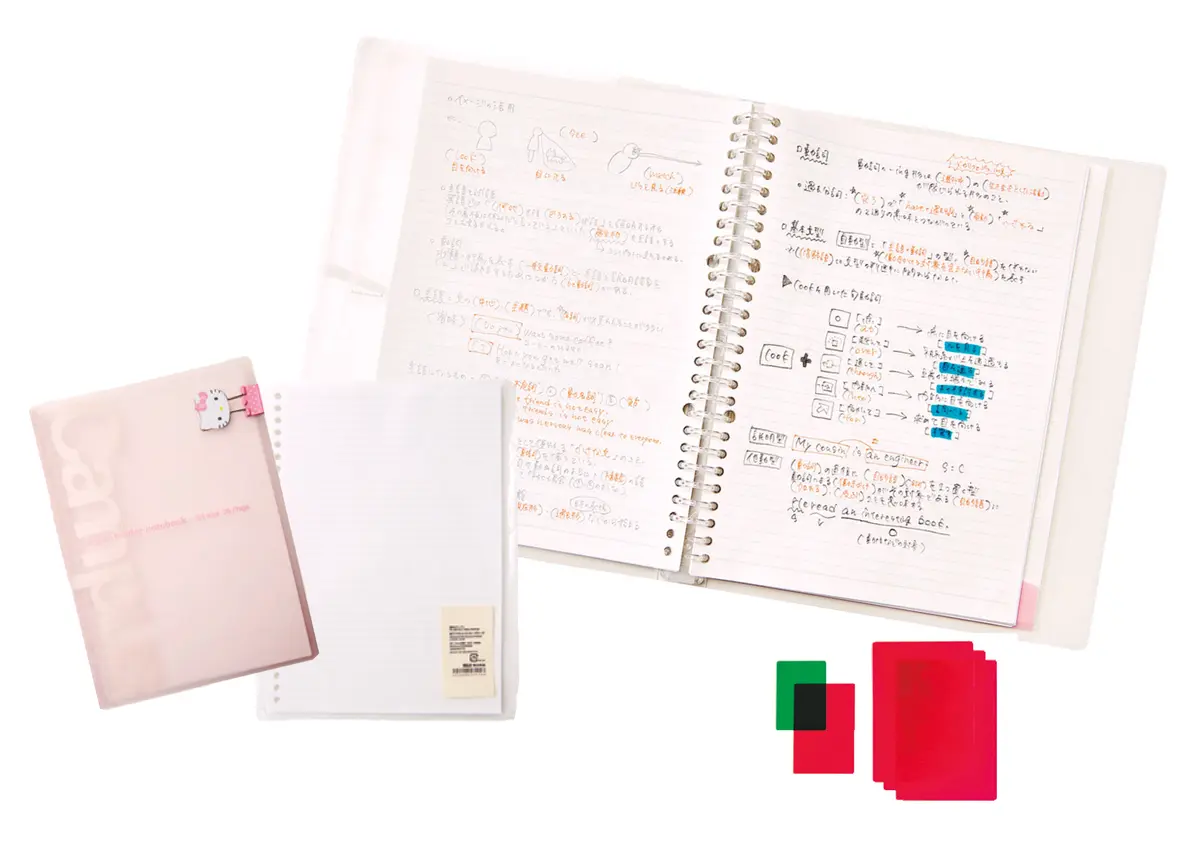 赤シートマストで要点をまとめたオリジナルルーズリーフ