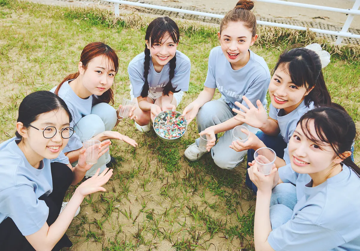 集めものタートル