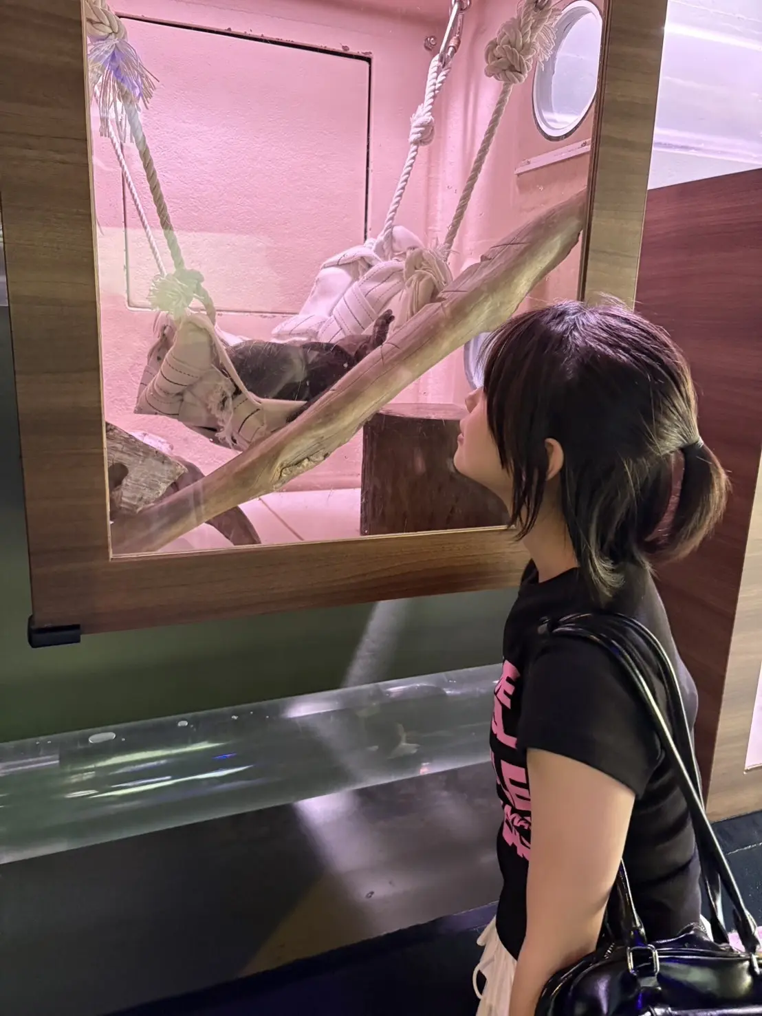 稲光ブログ　水族館３