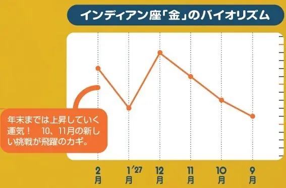 インディアン座「金」のバイオリズム