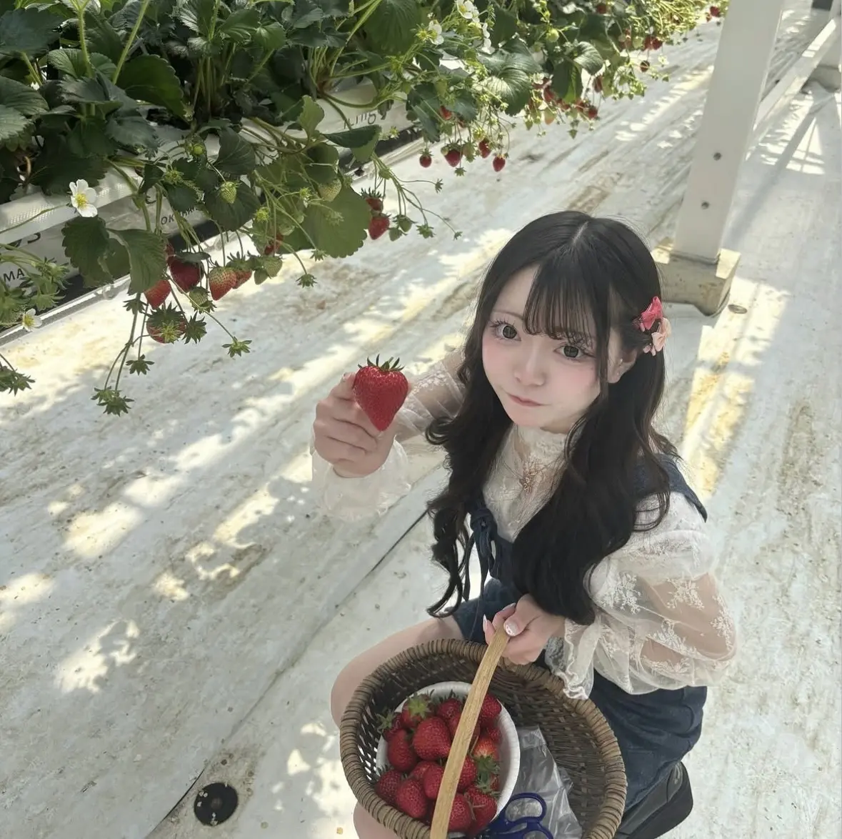 いちご狩りの季節まっただ中！ 爆盛れ間違の画像_2