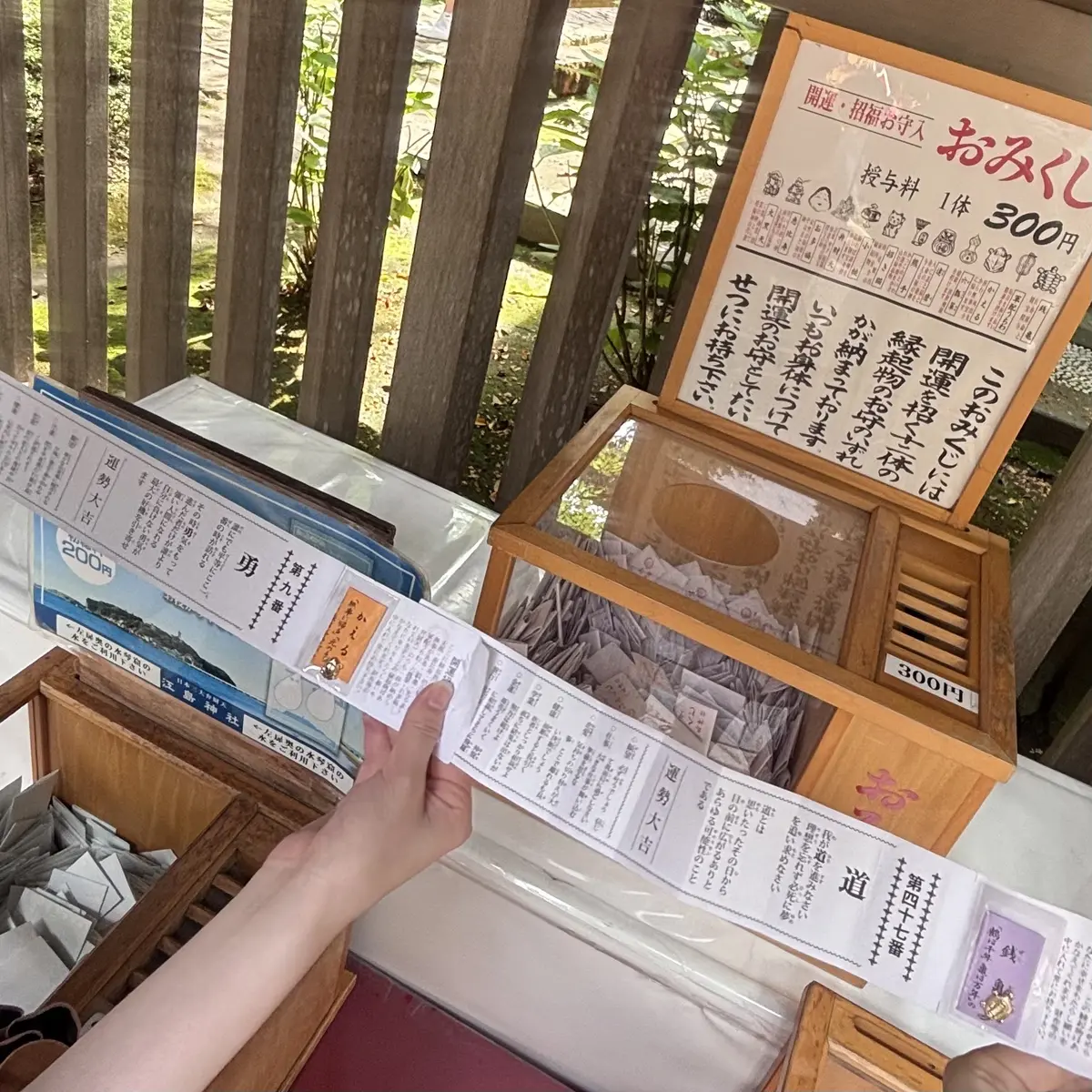 関谷ブログ　江ノ島₄　