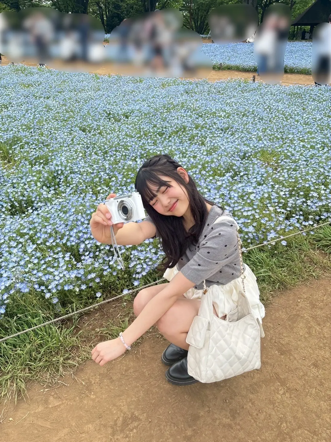 原田ブログ　ネモフィラ３