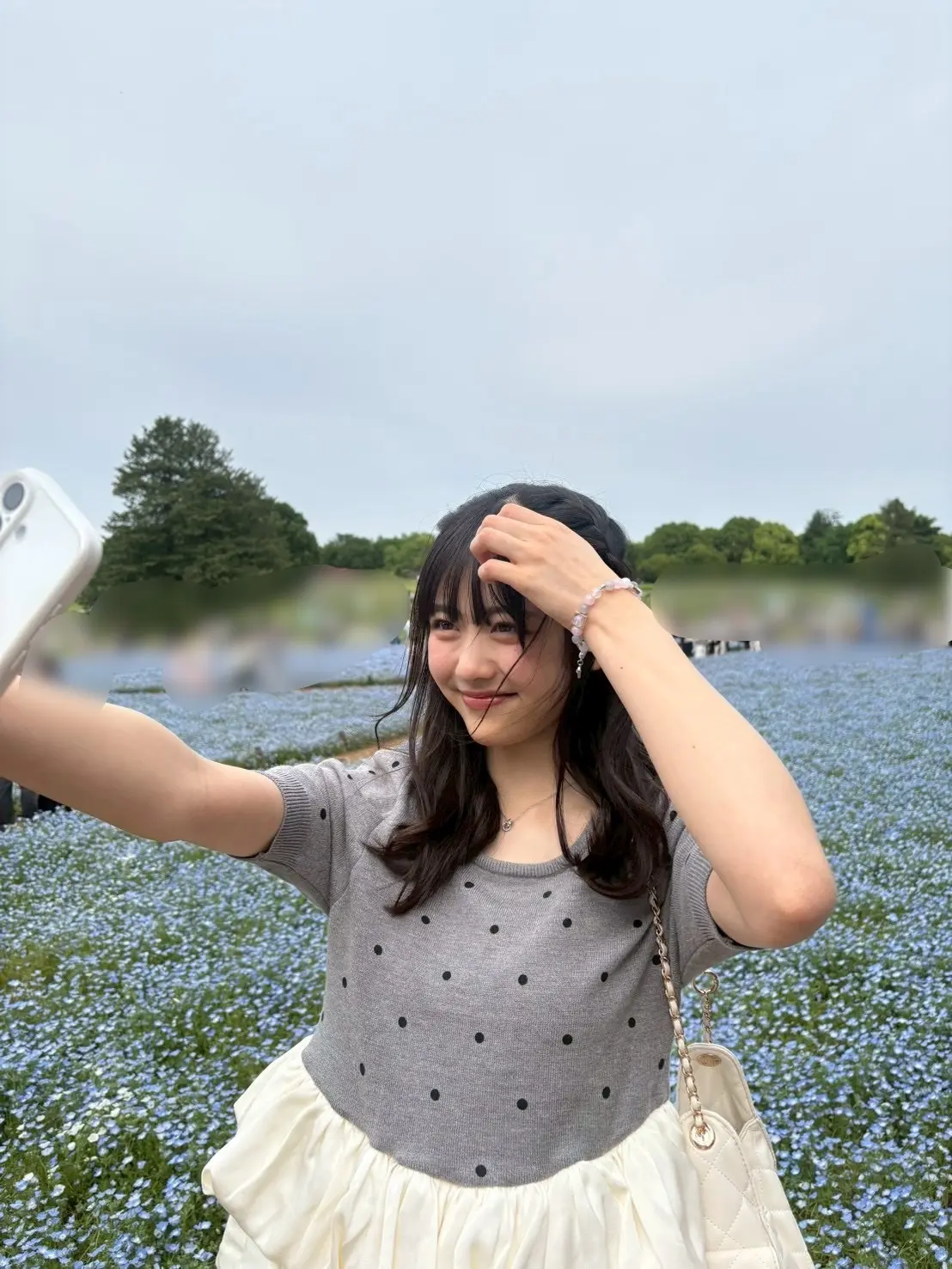 原田ブログ　ネモフィラ１