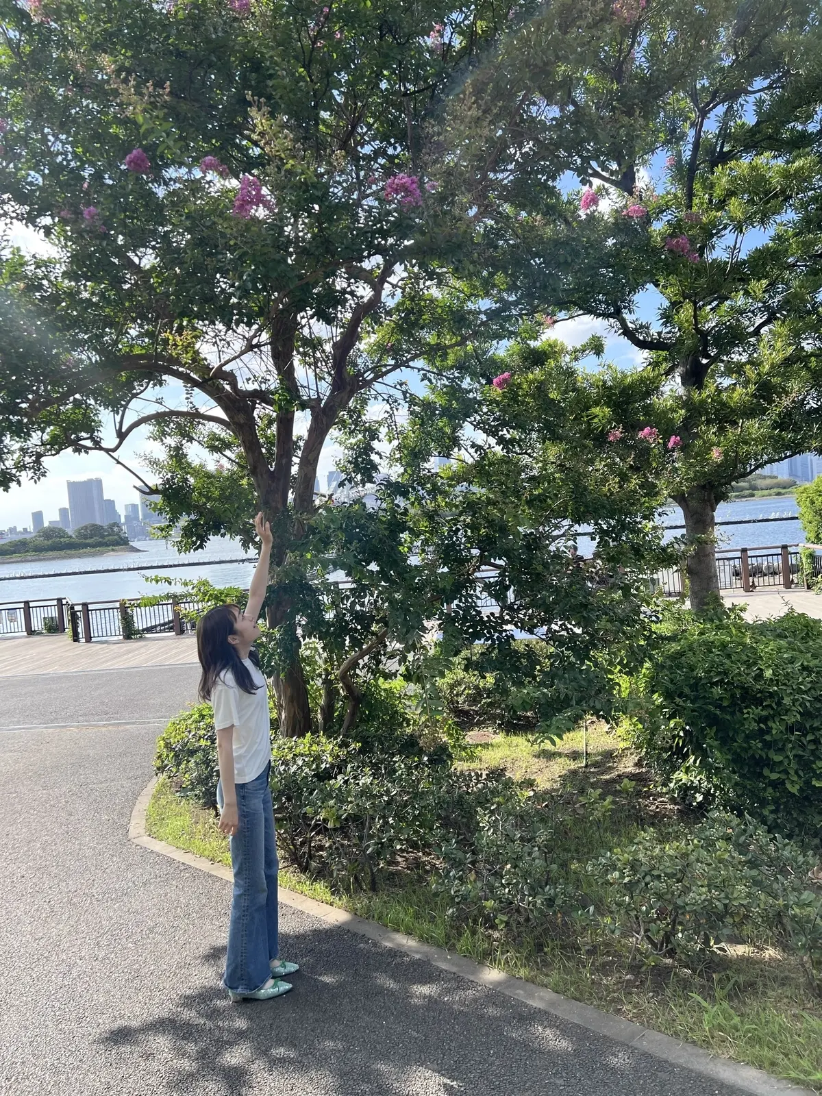 月島ブログ２