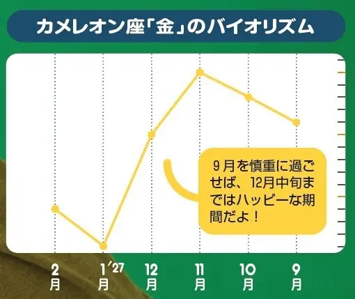カメレオン座「金」のバイオリズム