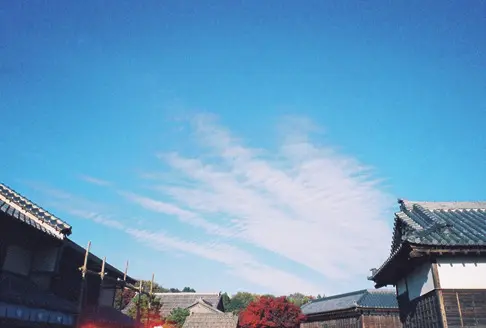 上坂樹里　フィルムカメラにハマってる　風景写真
