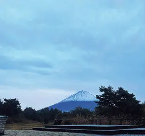 石川花はお散歩が大好き