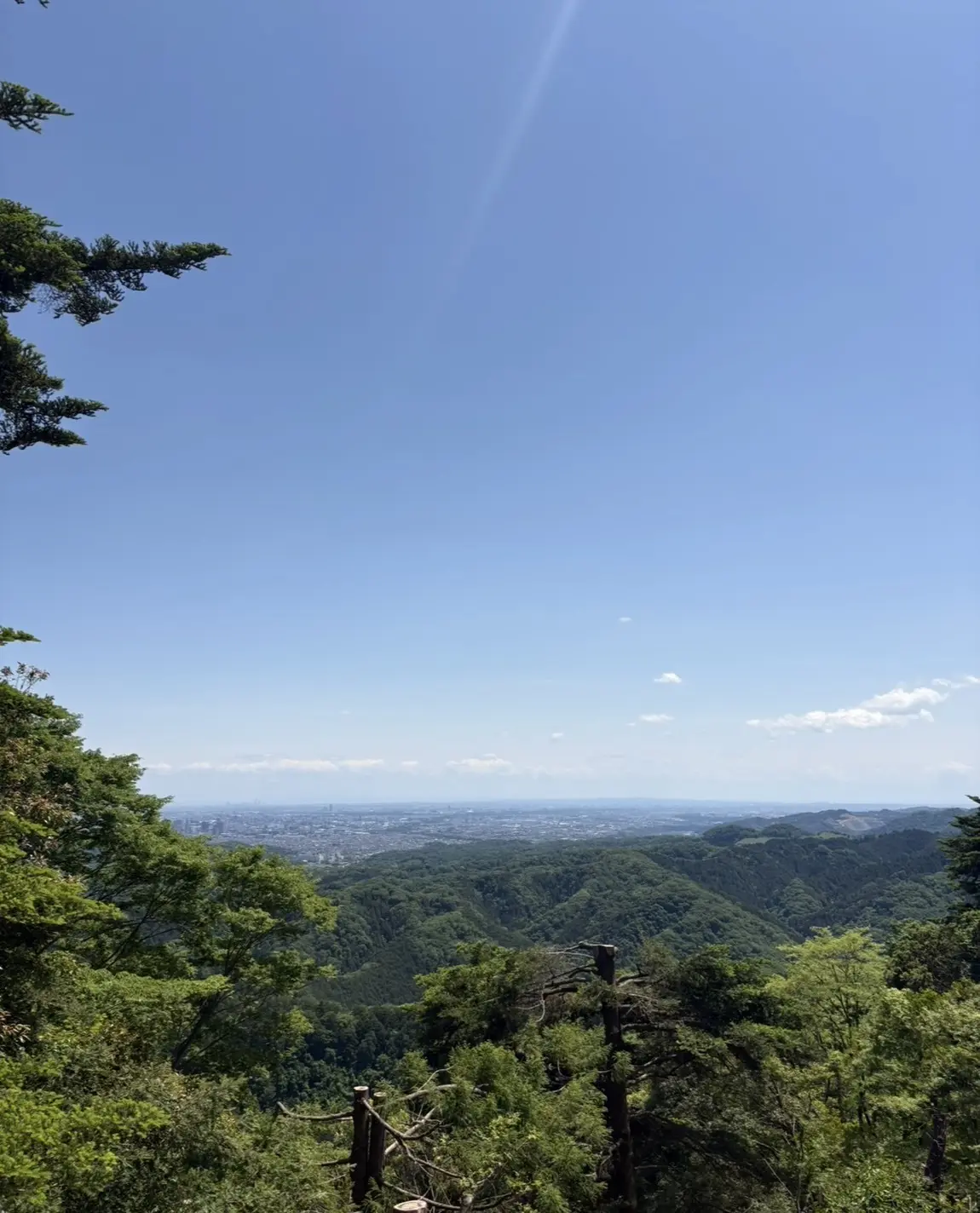 堀口ブログ　高尾山１