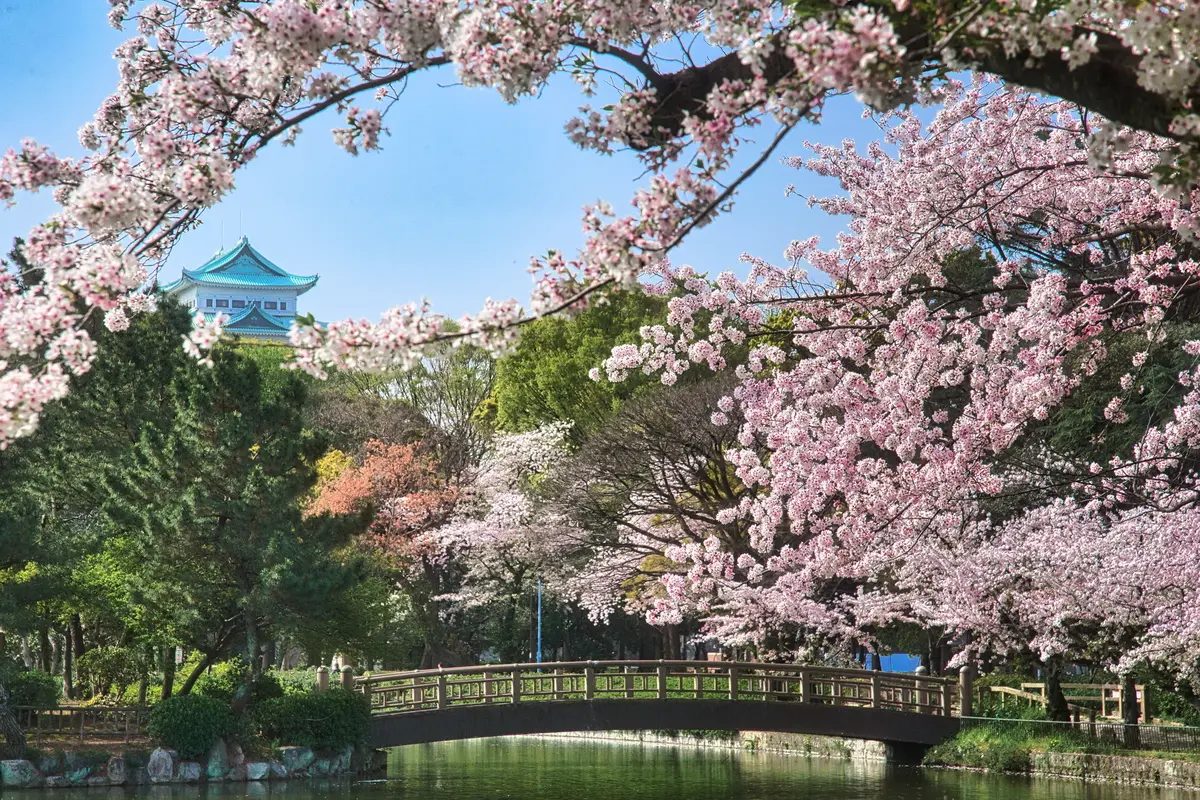 全国のJKに聞いた！地元のおすすめスポッの画像_8