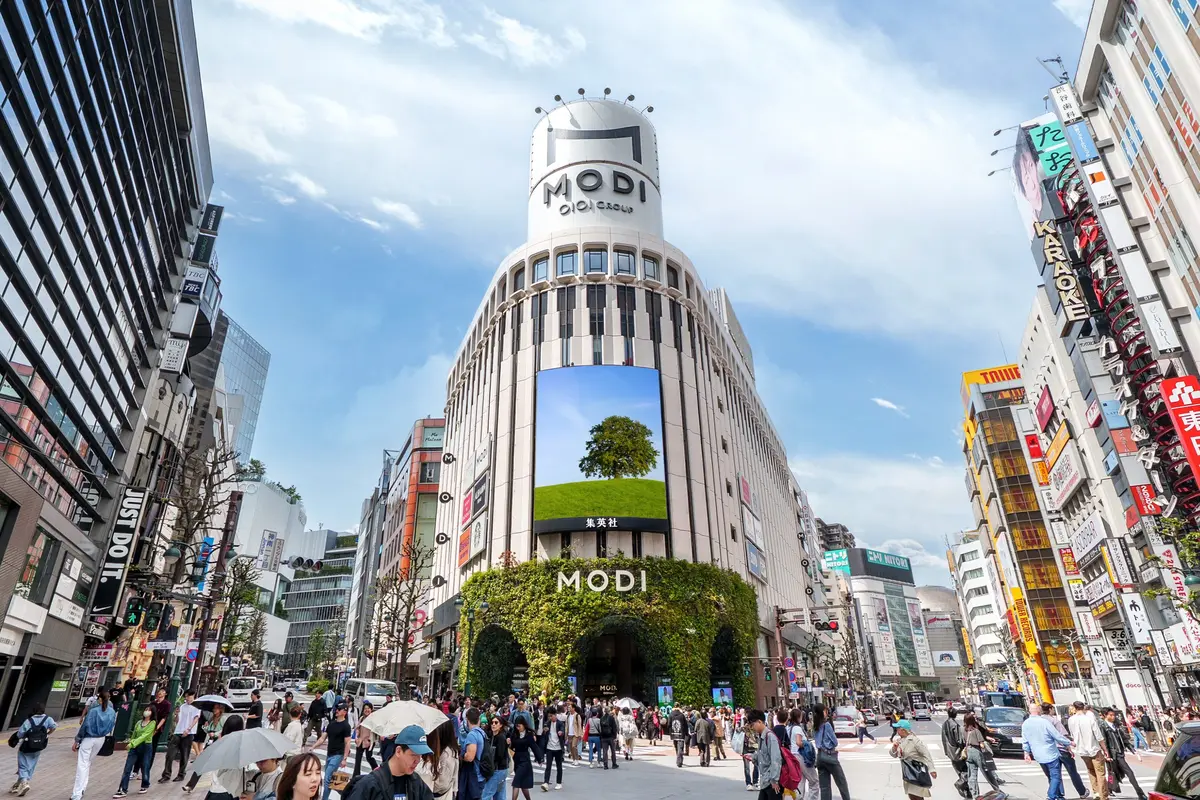 STモデル＆ミスST2025ファイナリスの画像_2