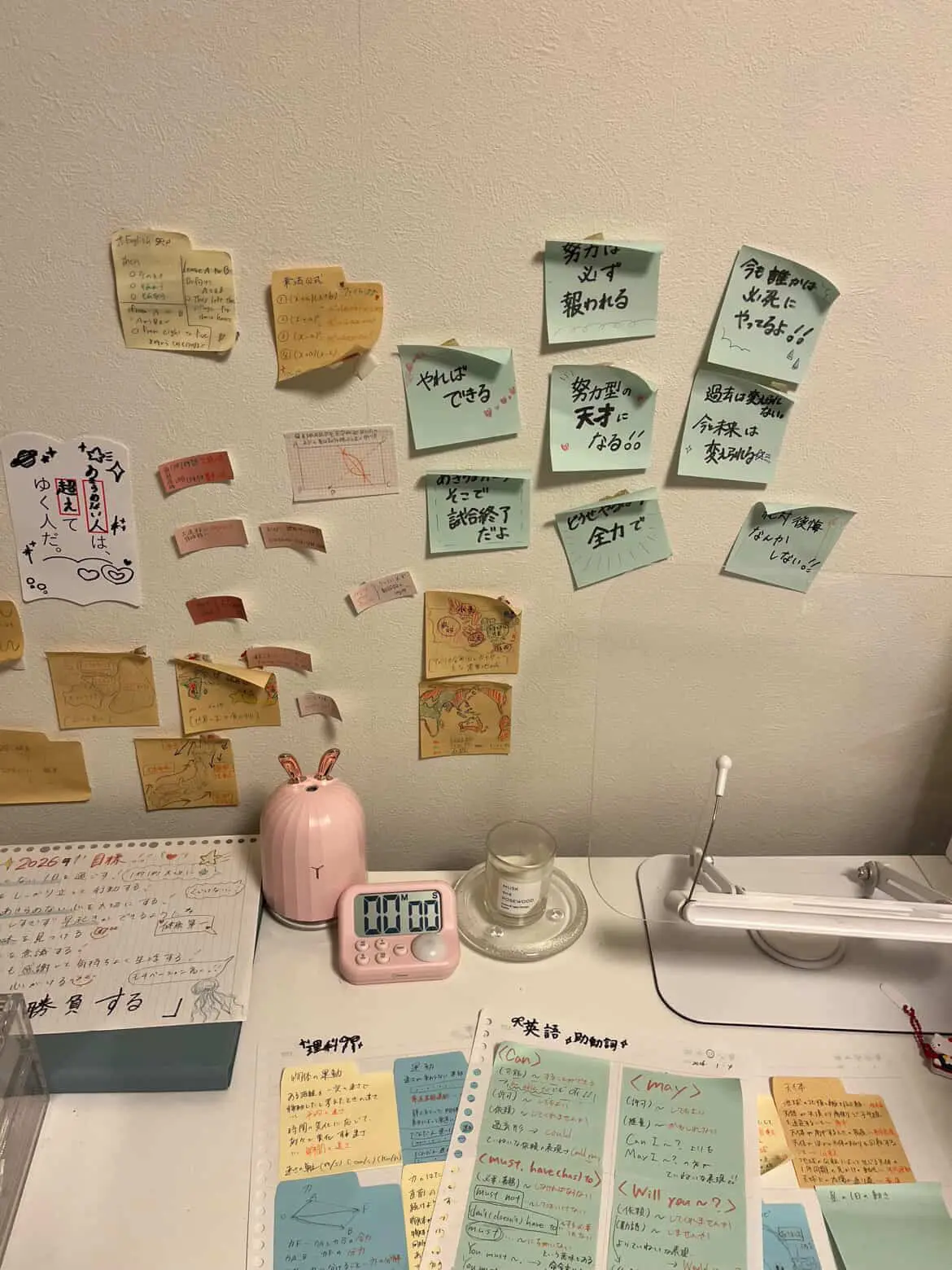 【受験の先輩に聞いてみた】モチベが上がるの画像_3