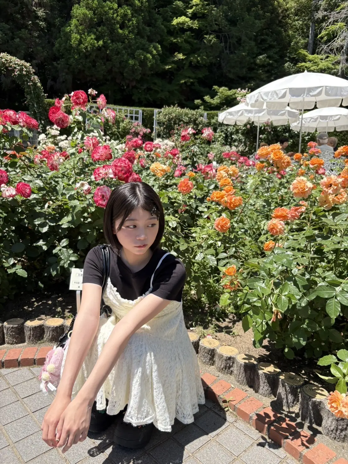稲光ブログ５
