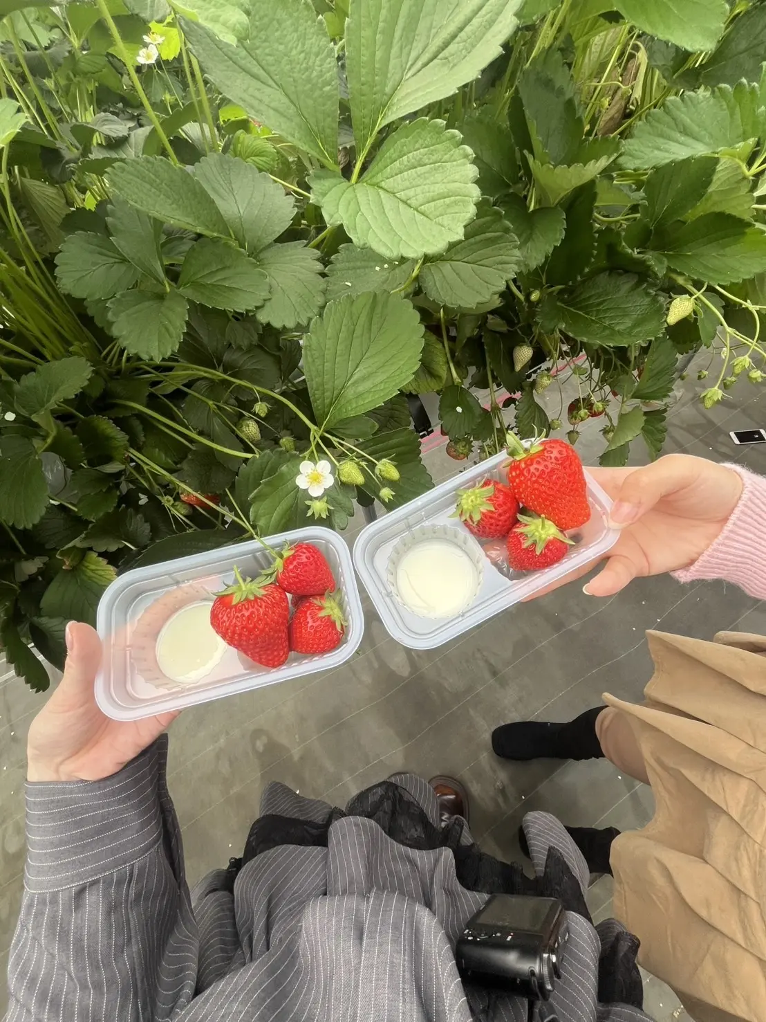 葛西ブログ４