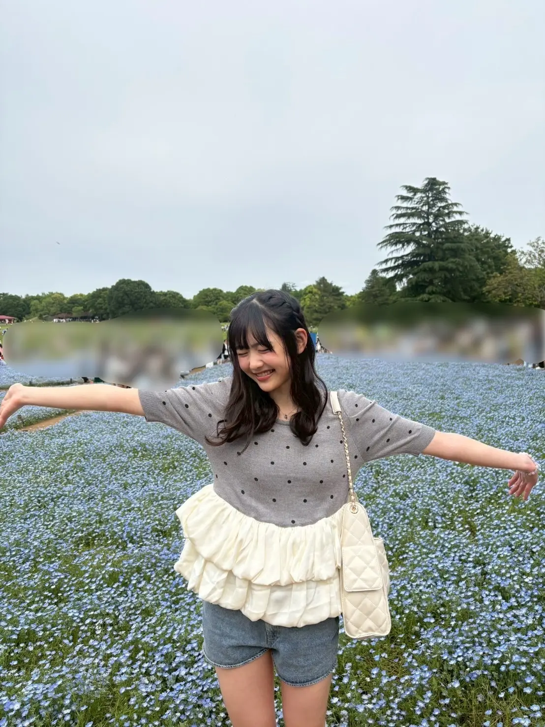 原田ブログ　ネモフィラ２