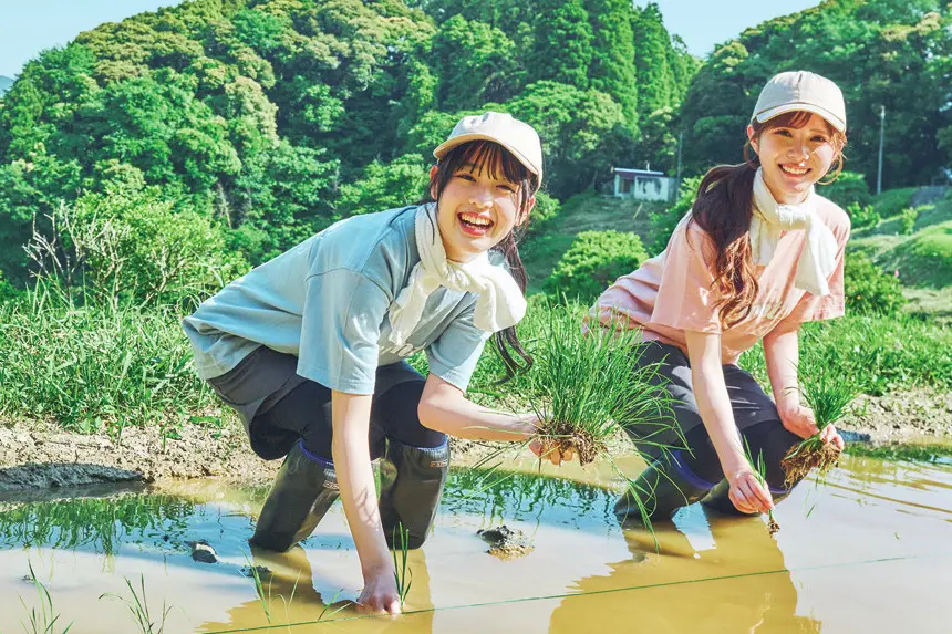 田植え体験