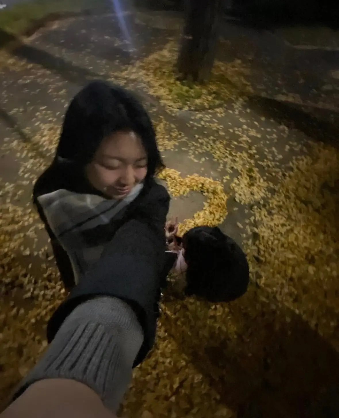 2025年の秋の思い出振り返ってみよ♪ の画像_5