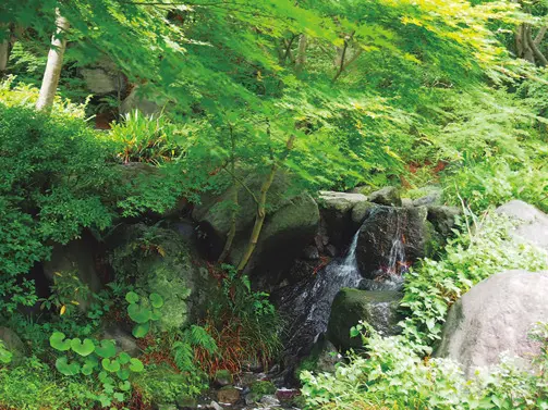 あえて〝隠した"滝