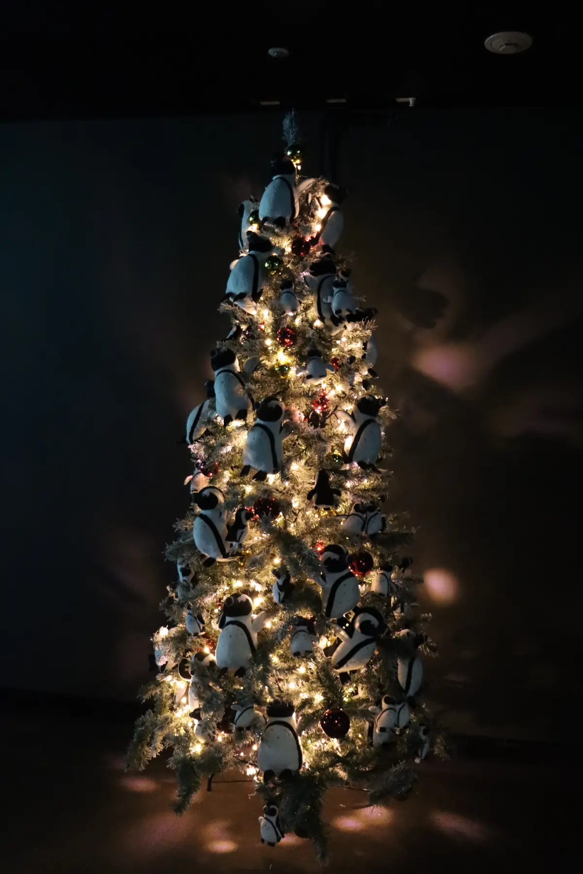 サンシャイン水族館　ツリー２