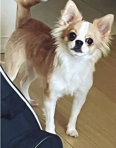 秋本2