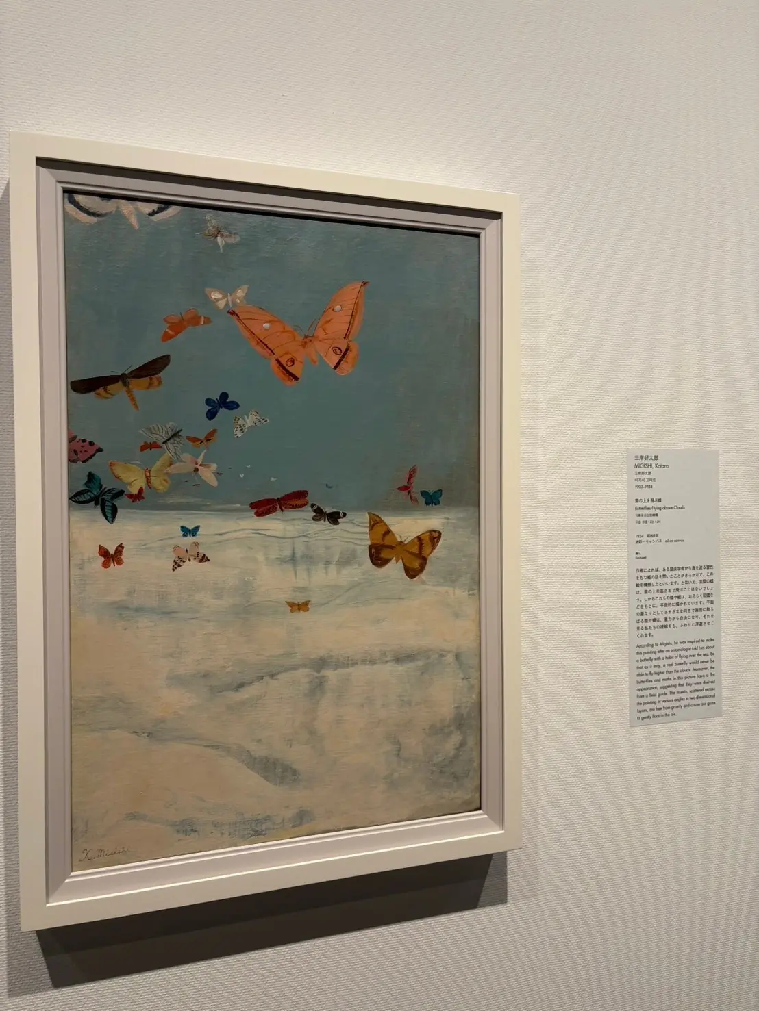 お気に入りの蝶々の絵の写真