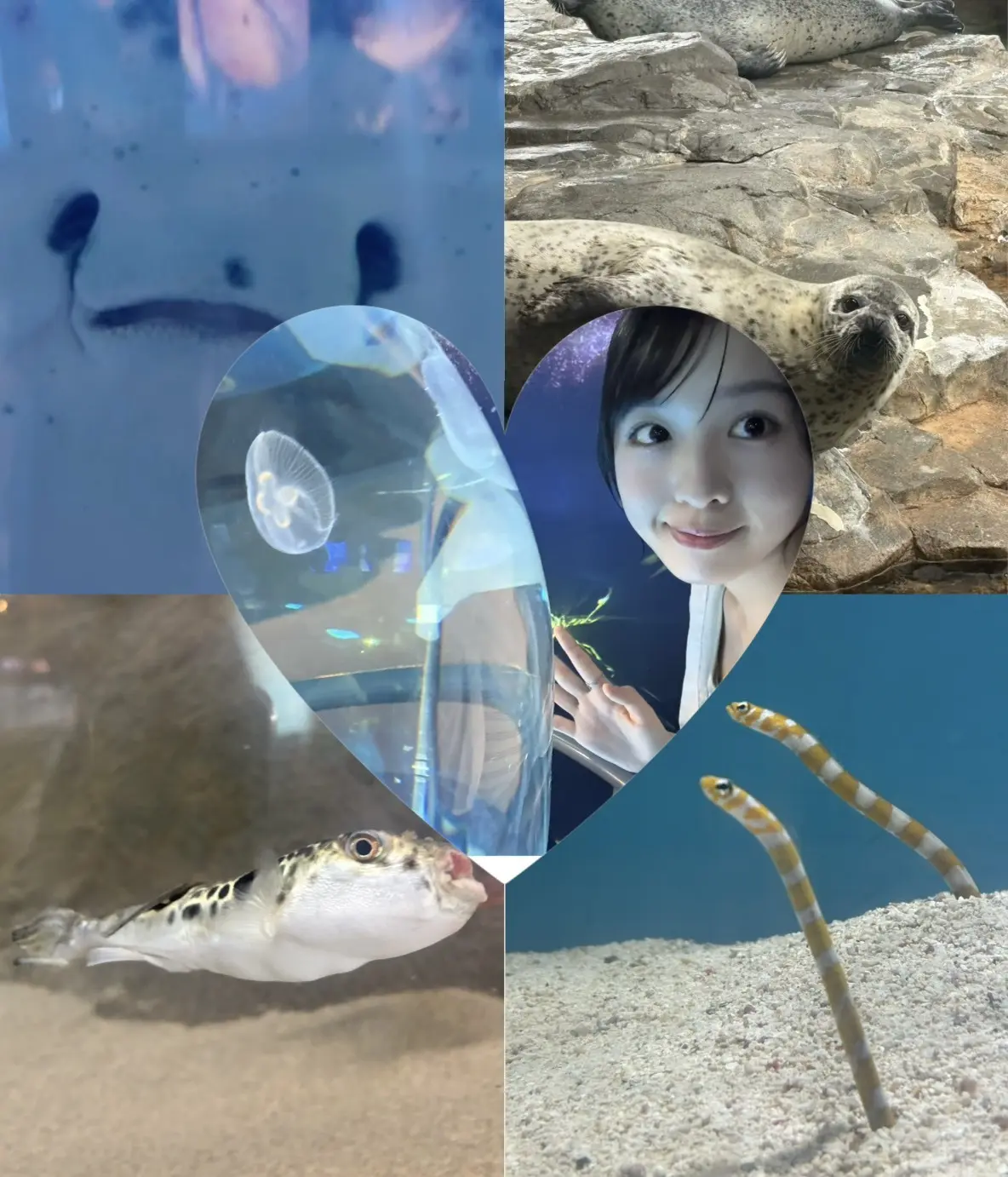 宮迫ブログ３