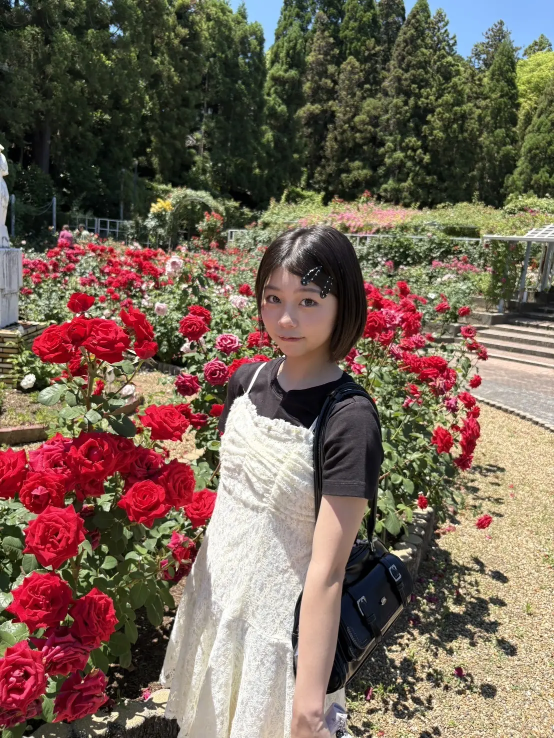 稲光ブログ１