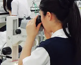 各学部で本格的な模擬実験も！