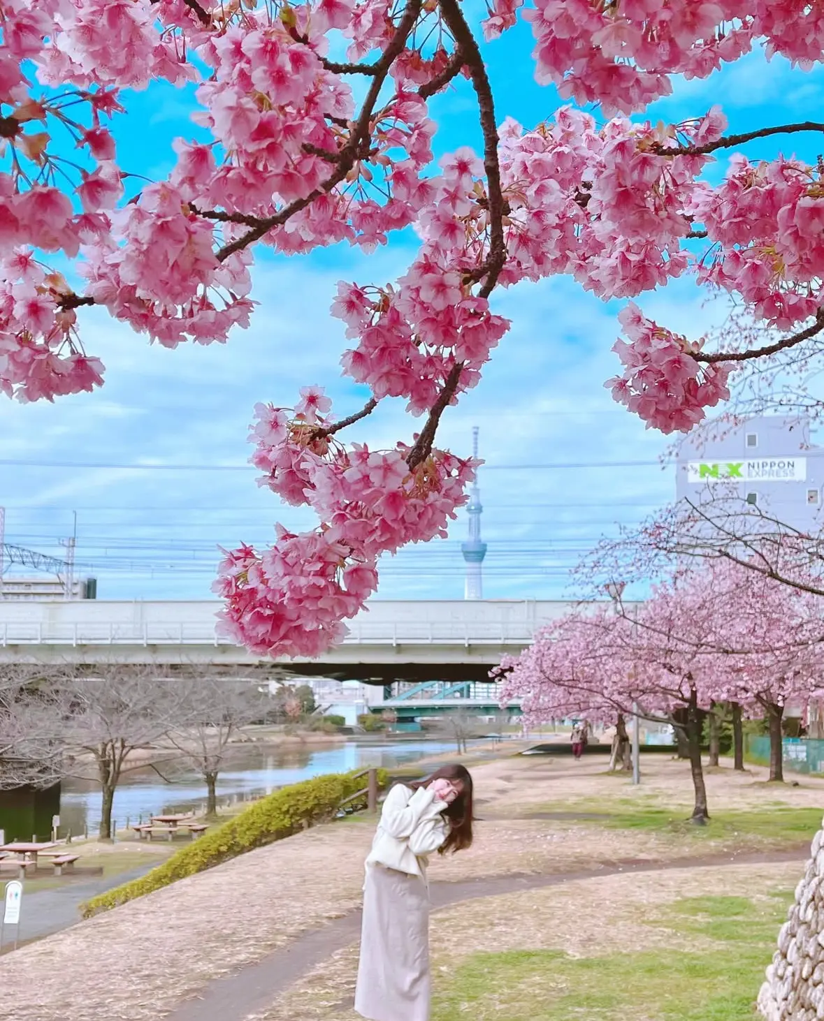 【関東の映え桜スポット⑤選】JKにも人気の画像_9