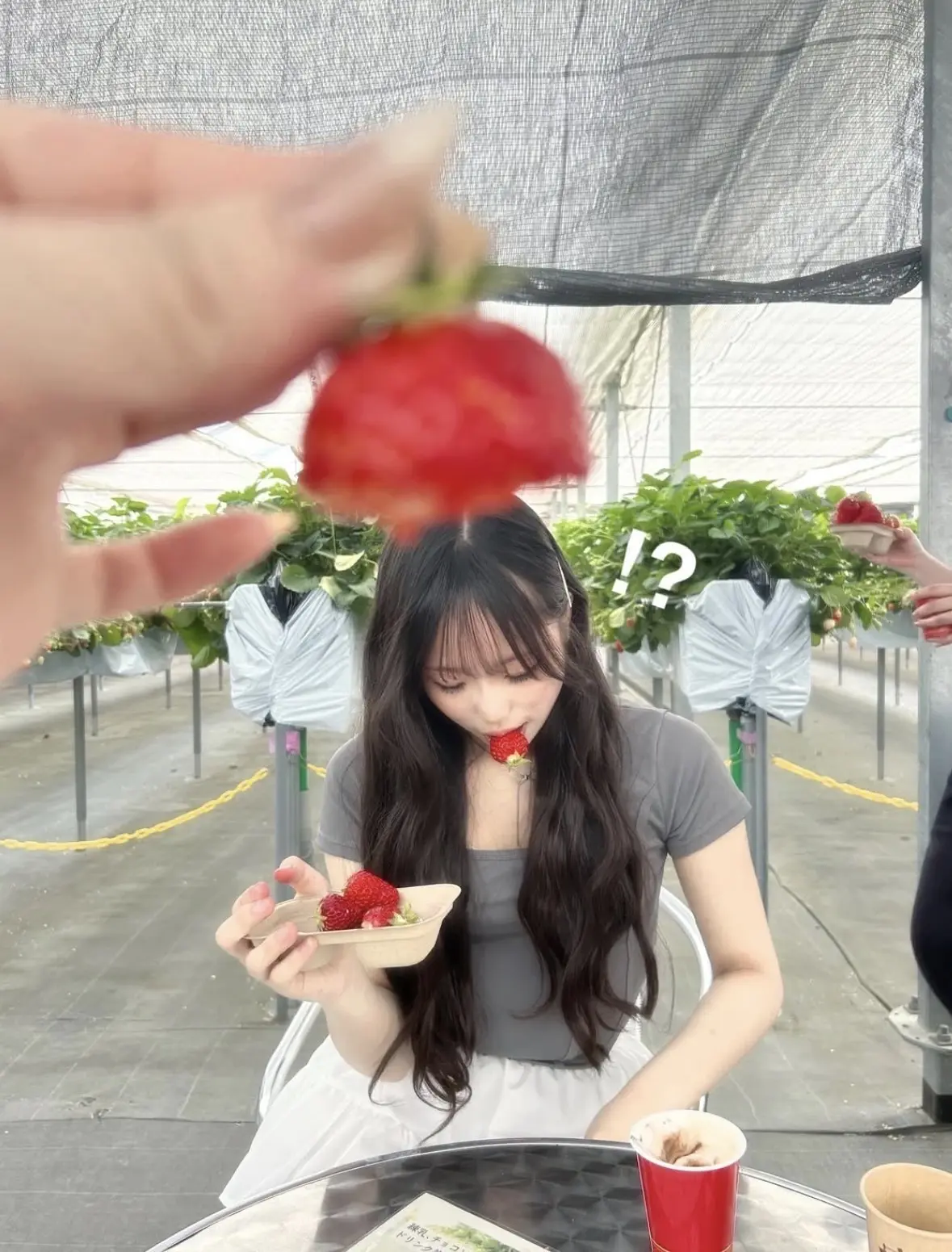 いちご狩りの季節まっただ中！ 爆盛れ間違の画像_1