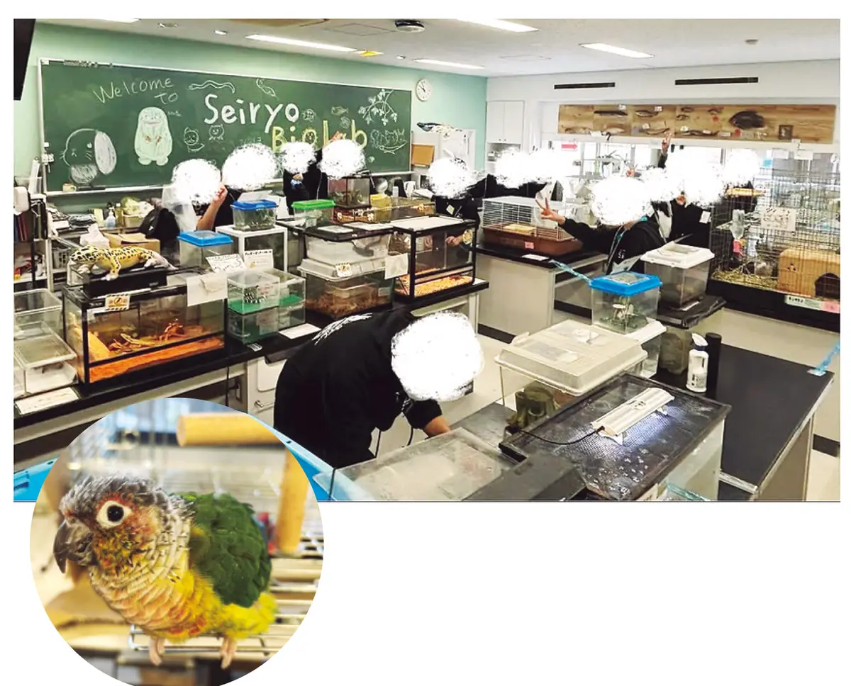 自然科学部の展示室はまるでミニ動物園！