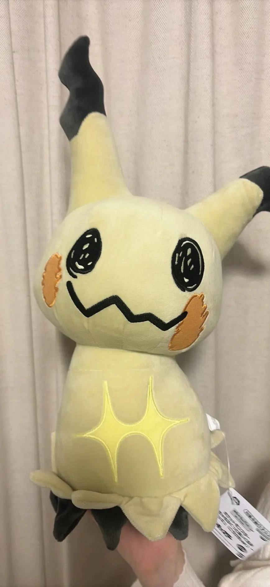 小國舞羽 “ポケモン”のミミッキュのぬいぐるみ