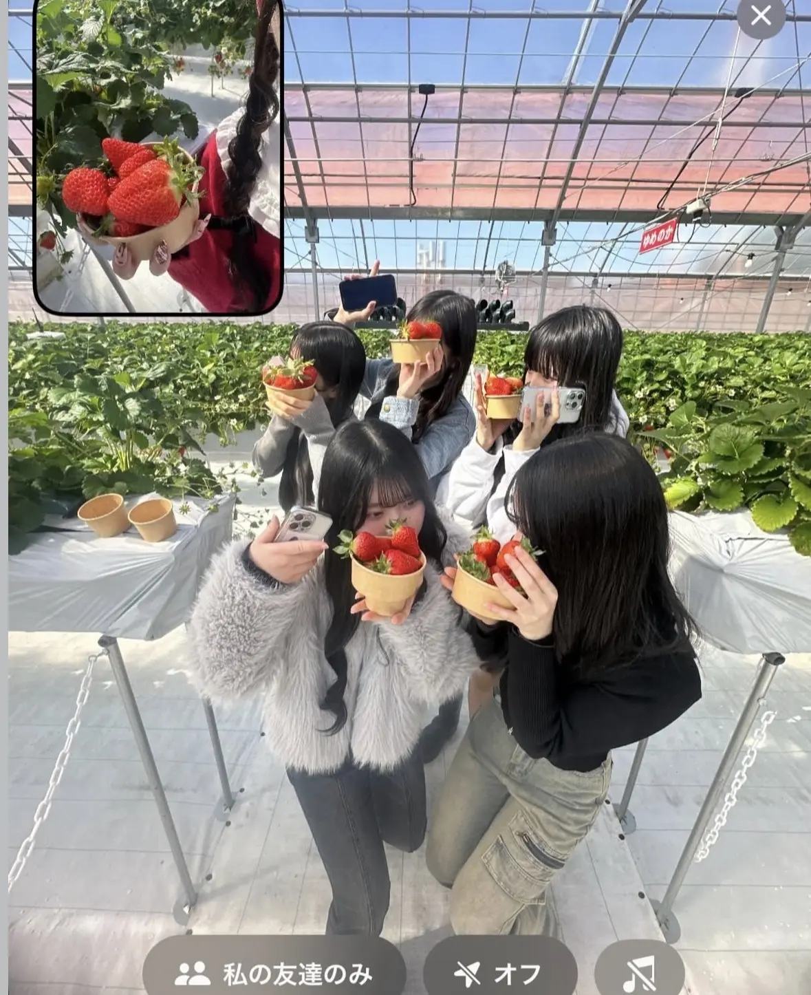 いちご狩りの季節まっただ中！ 爆盛れ間違の画像_4