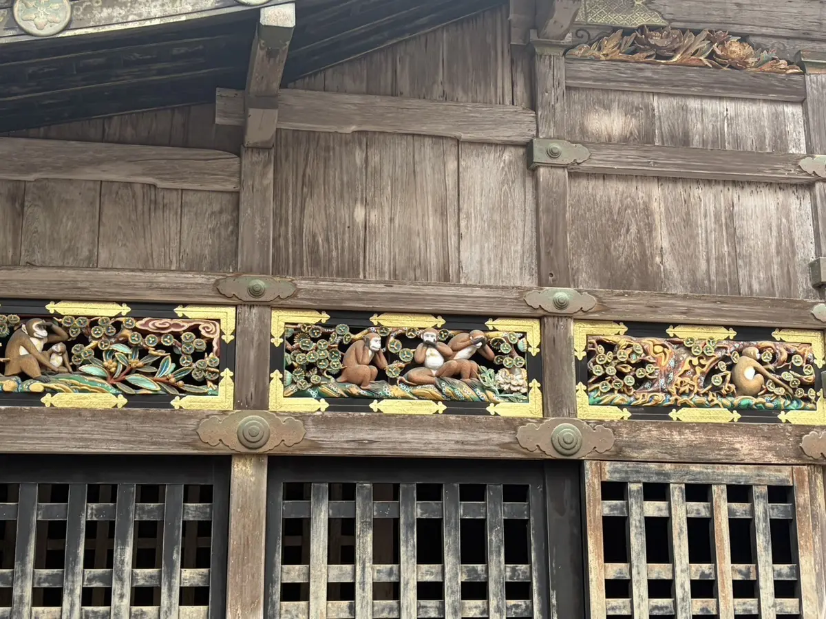 【希咲うみ】🍓🥟🐵の画像_3