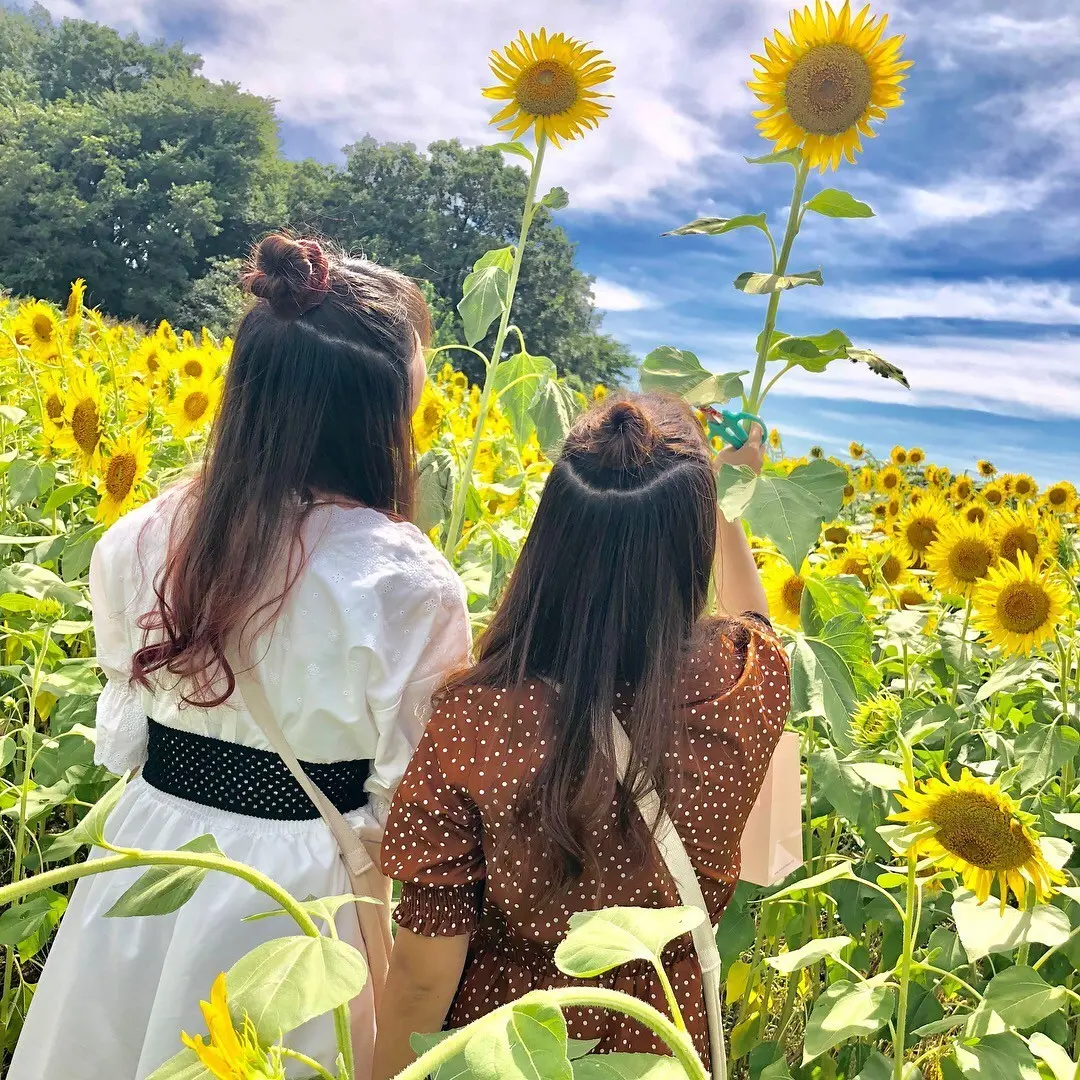 夏に一度は見ておきたい! 都内から行けるの画像_3
