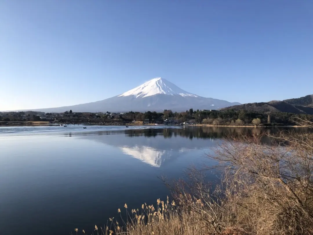 🗻の画像_1