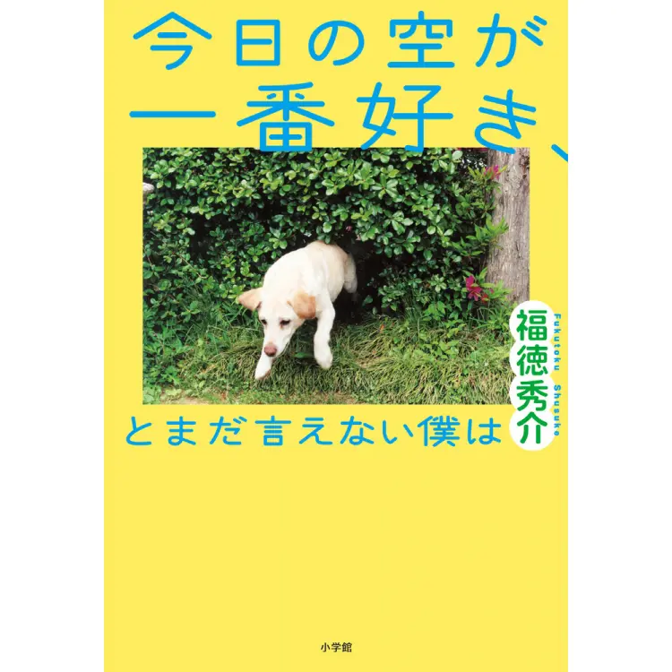 「読んでみたくなる！」注目の作家さん最新の画像_3