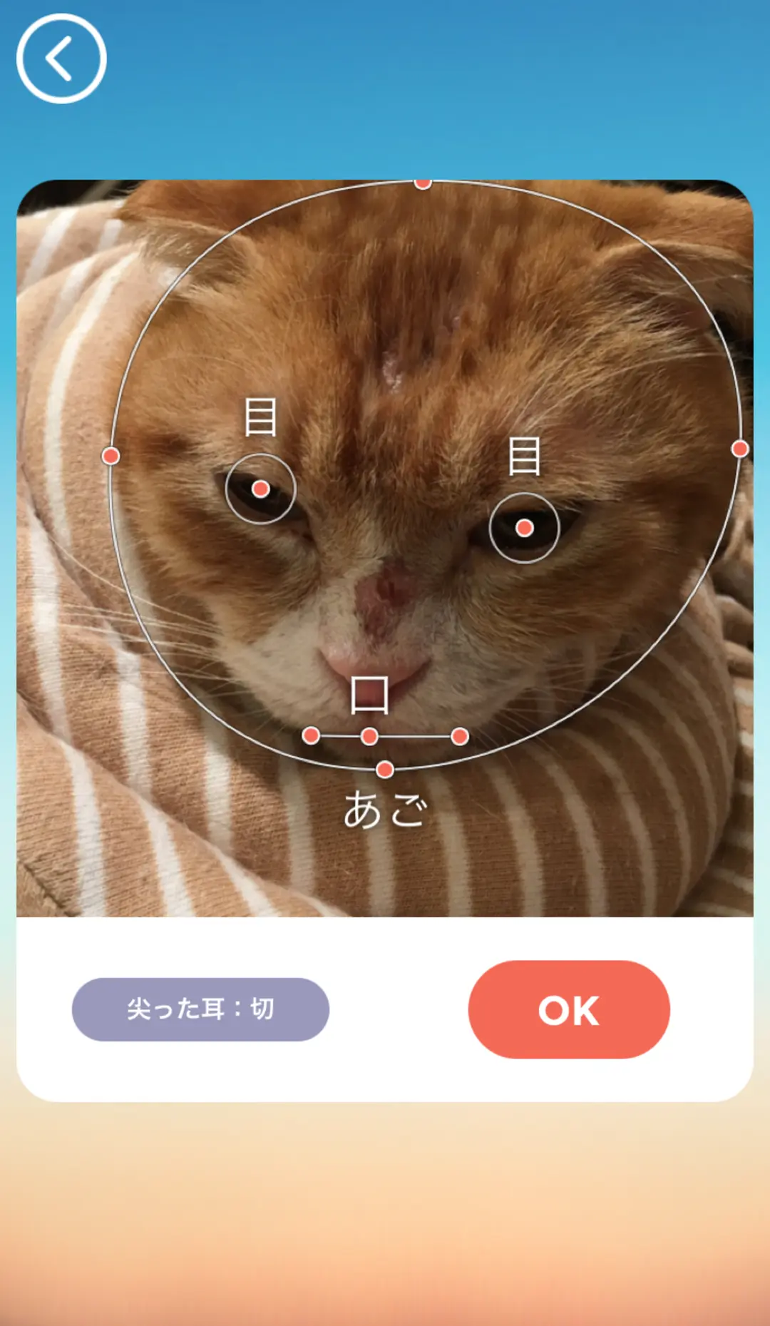 STインスタでバッグがしゃべってたけど…の画像_2