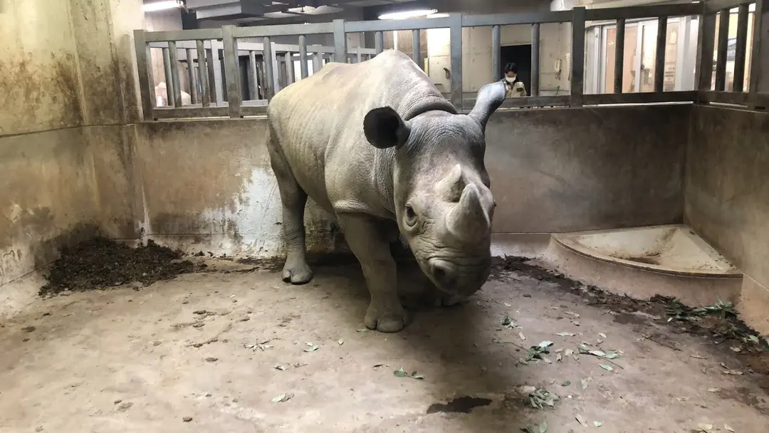 おうち動物園＆水族館にLet's GO!の画像_3