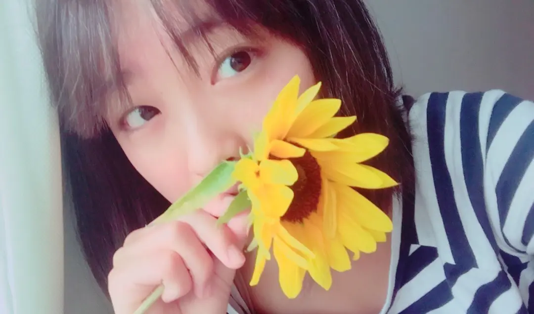 🌻🌻🌻の画像_1