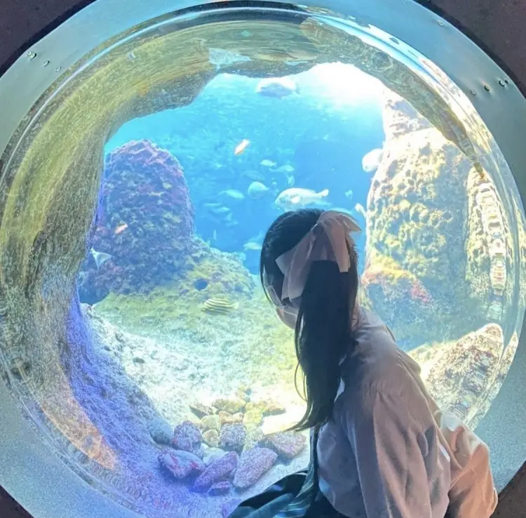 暑い夏を涼しく☆ 水族館に出かけるJKがの画像_2