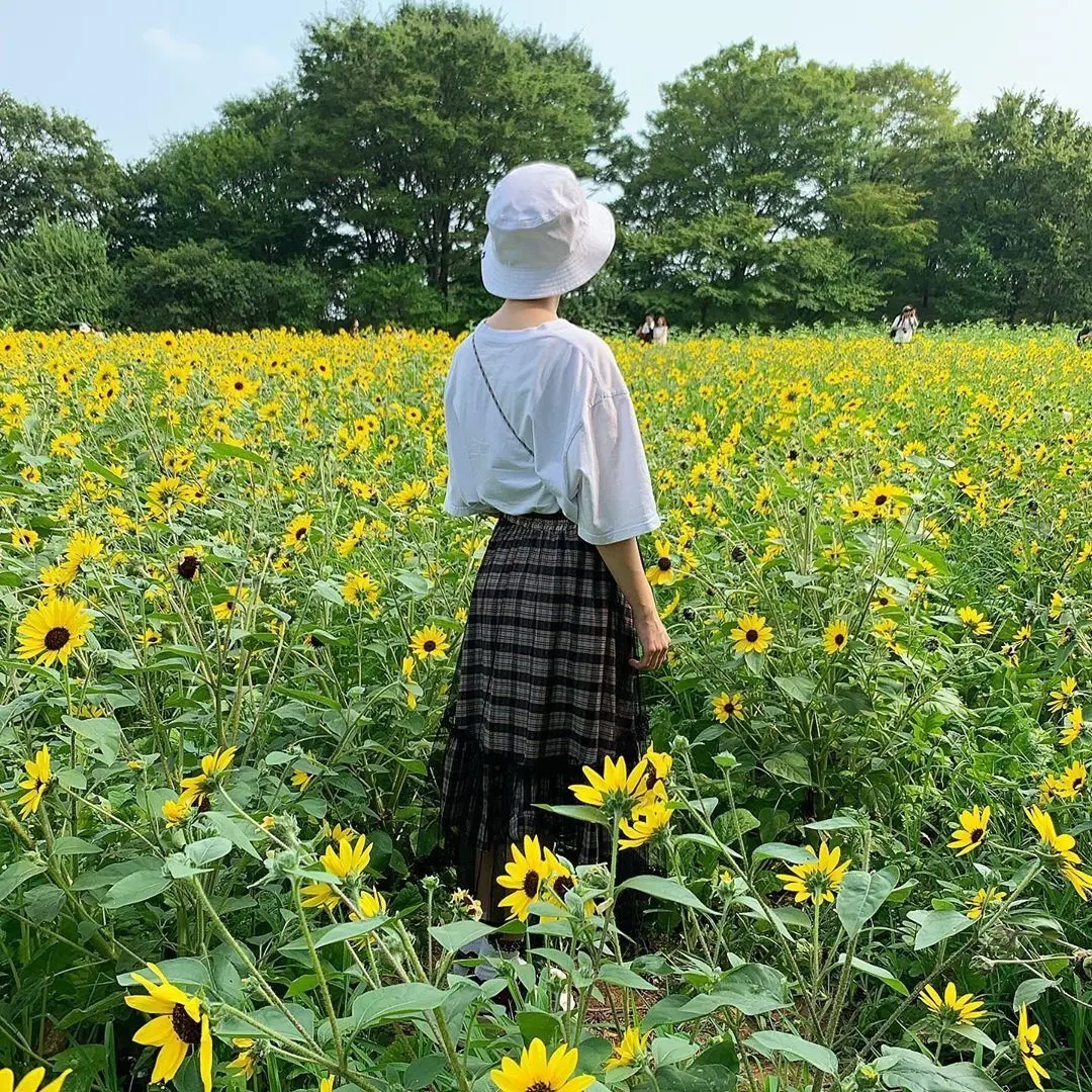 夏に一度は見ておきたい! 都内から行けるの画像_1