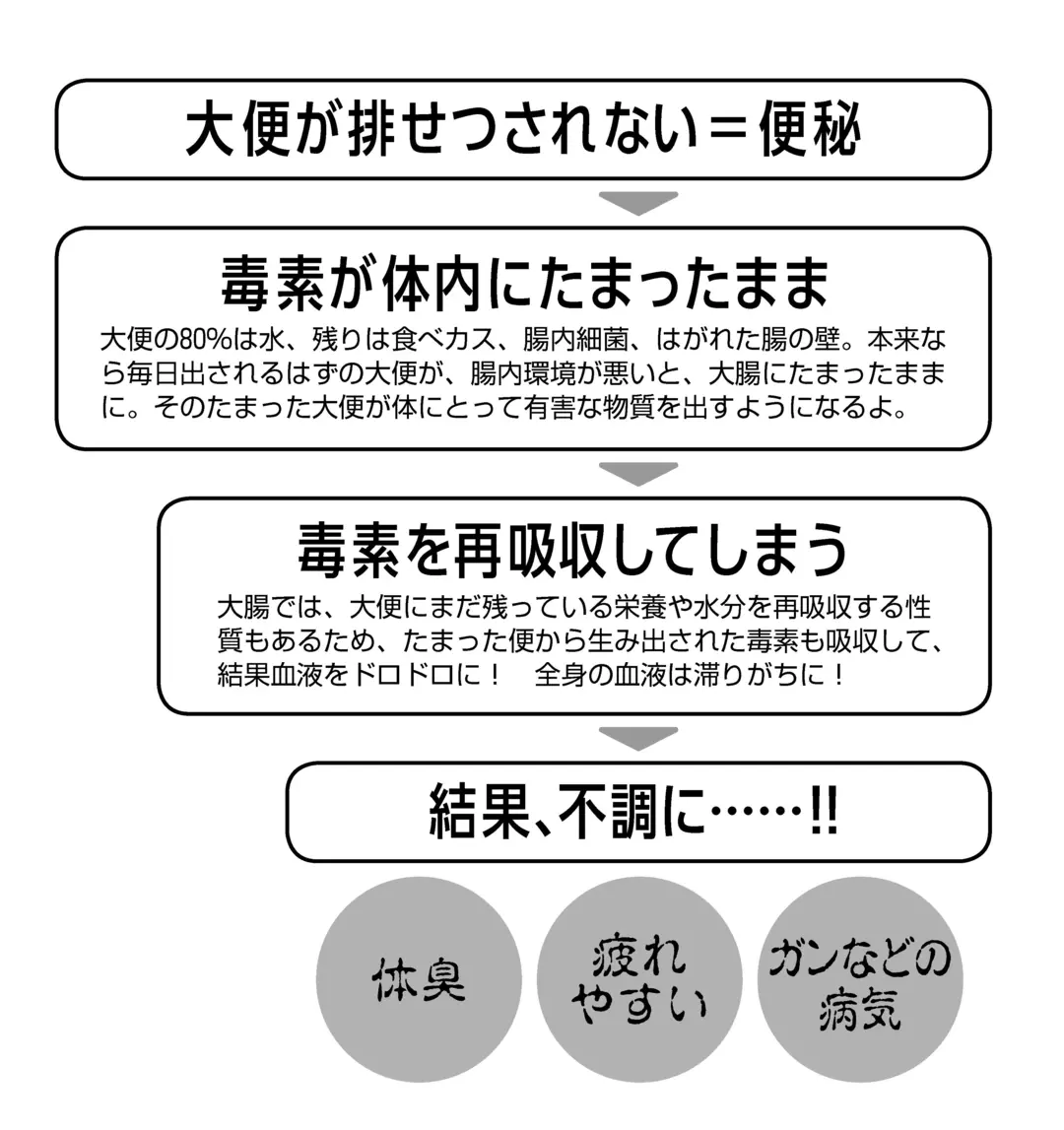 あなたの腸内環境は大丈夫？の画像_1