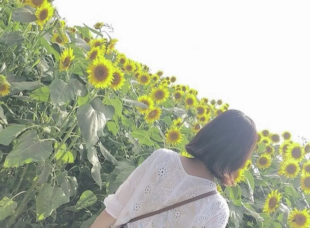 夏に一度は見ておきたい! 都内から行けるの画像_4