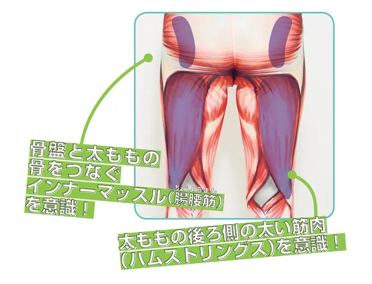 太ももうらの筋肉トレで目指せ美脚！の画像_1