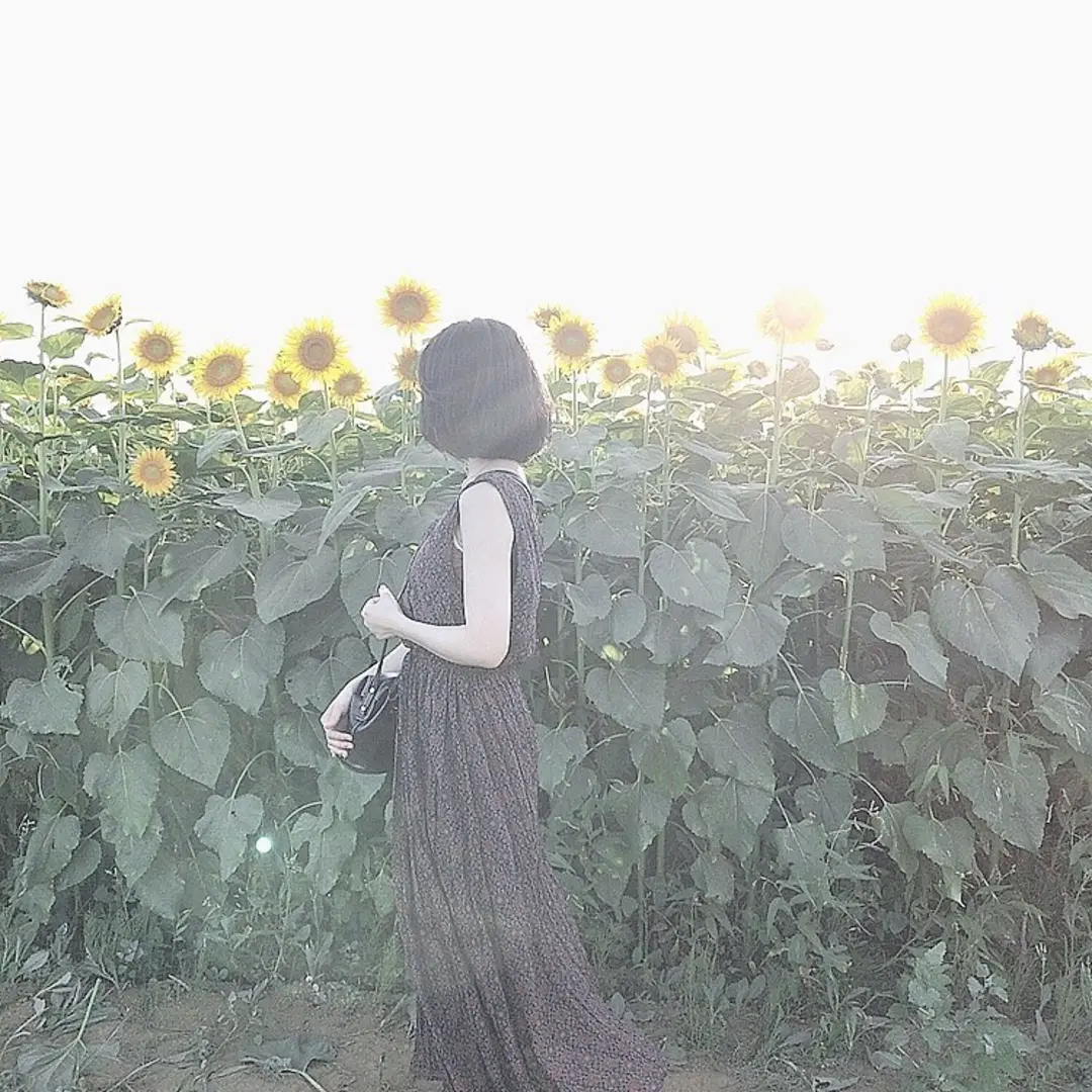 夏に一度は見ておきたい! 都内から行けるの画像_2