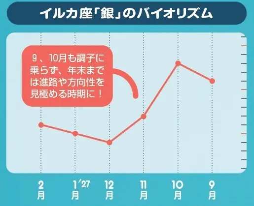 イルカ座「銀」のバイオリズム