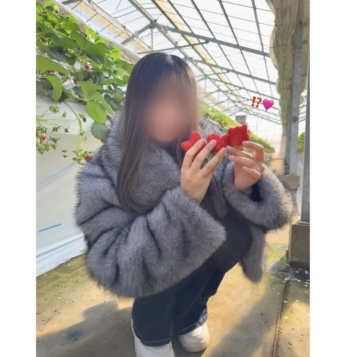 いちご狩りの季節まっただ中！ 爆盛れ間違の画像_3