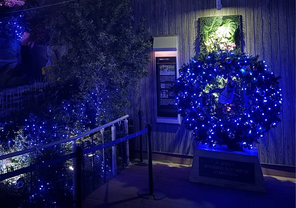 サンシャイン水族館　リース