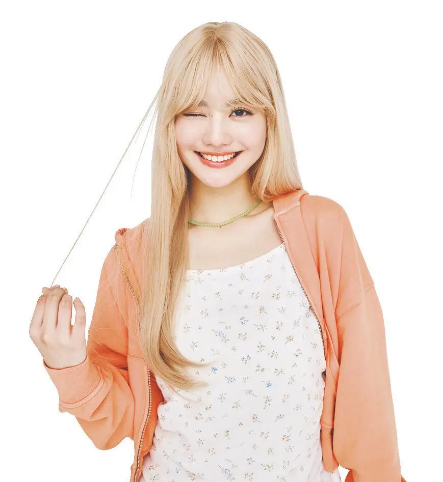 人生で一度はしたいことは？